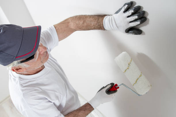 Best Industrial Mold Remediation  in Rugby, ND