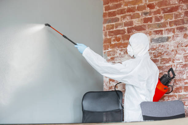  Rugby, ND Mold Removal Pros