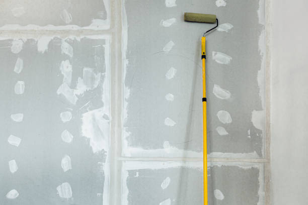 Best Residential Mold Inspection & Testing  in Rugby, ND