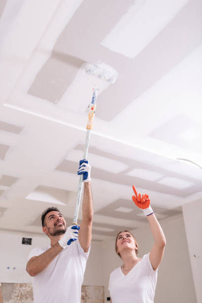 Rugby, ND Mold Removal Company