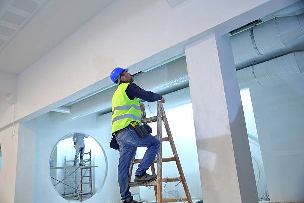 Best Basement Mold Removal  in Rugby, ND