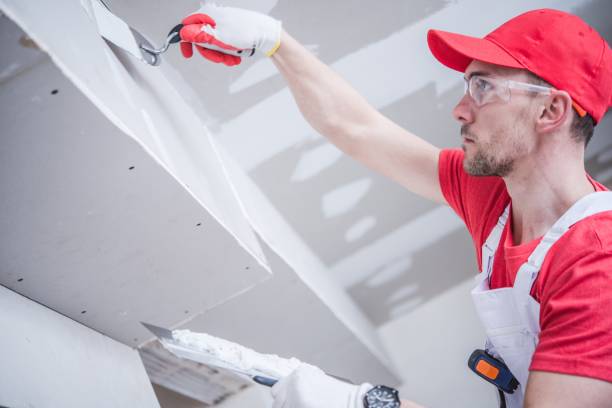Best Real Estate Mold Inspection  in Rugby, ND
